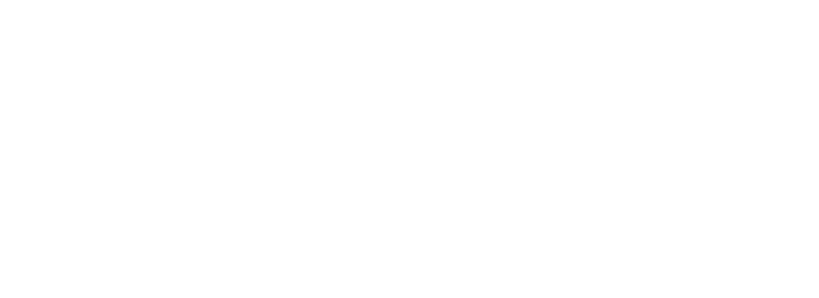 WOLT DRIVE